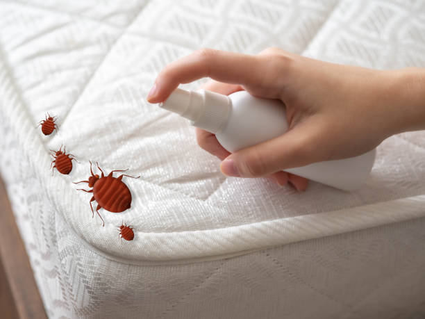 Best Pest Prevention Services  in Ashland, OR